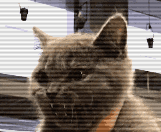 2020版最新法官、检察官表情大全！哈哈哈