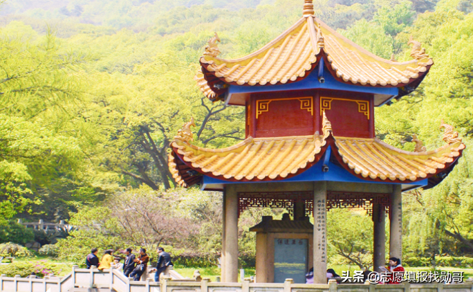 湖南师范大学分数线（湖南）