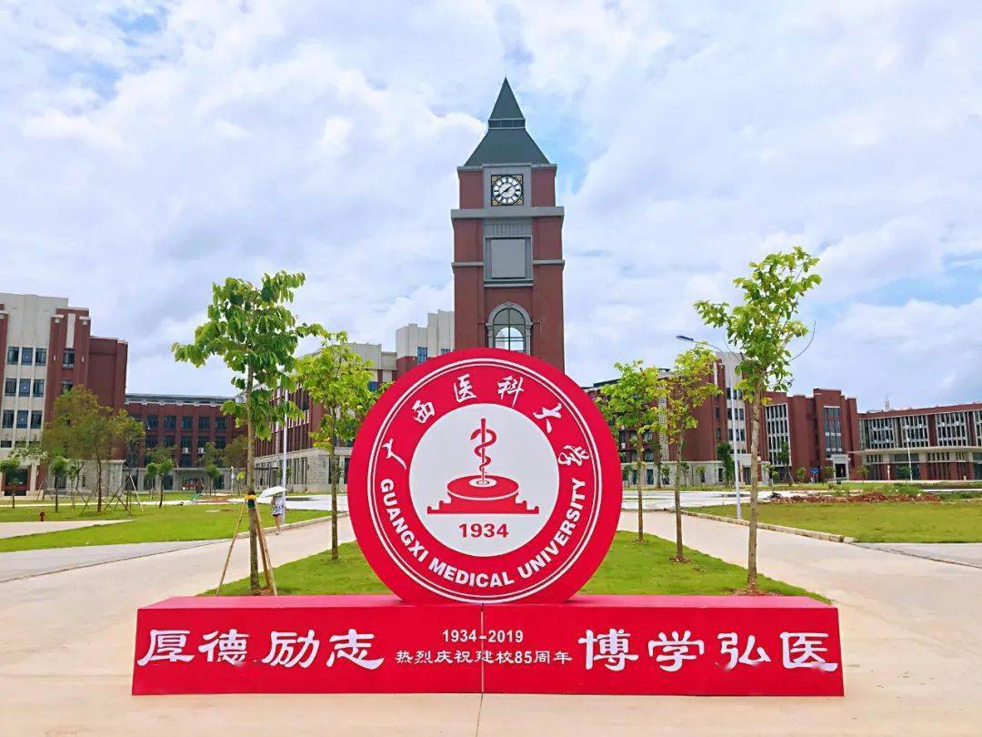 广西最好的大学（广西省最好的4所普通一本）