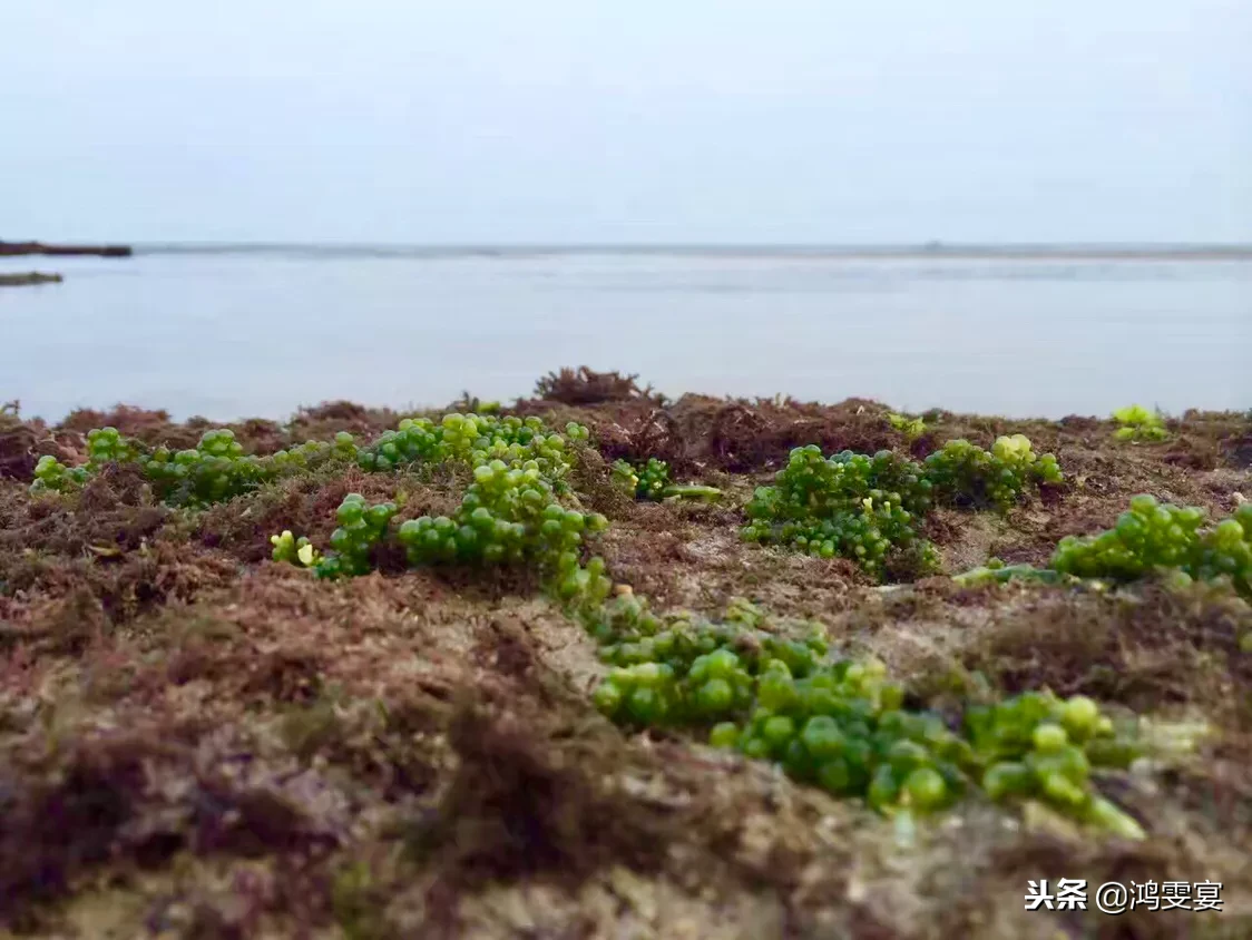 涠洲岛5日游自由行攻略-超详细