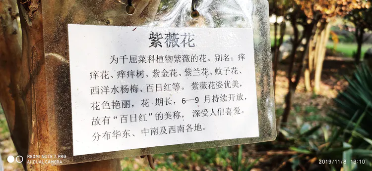 陪你一起看湖北省广水一中①——走进植物王国