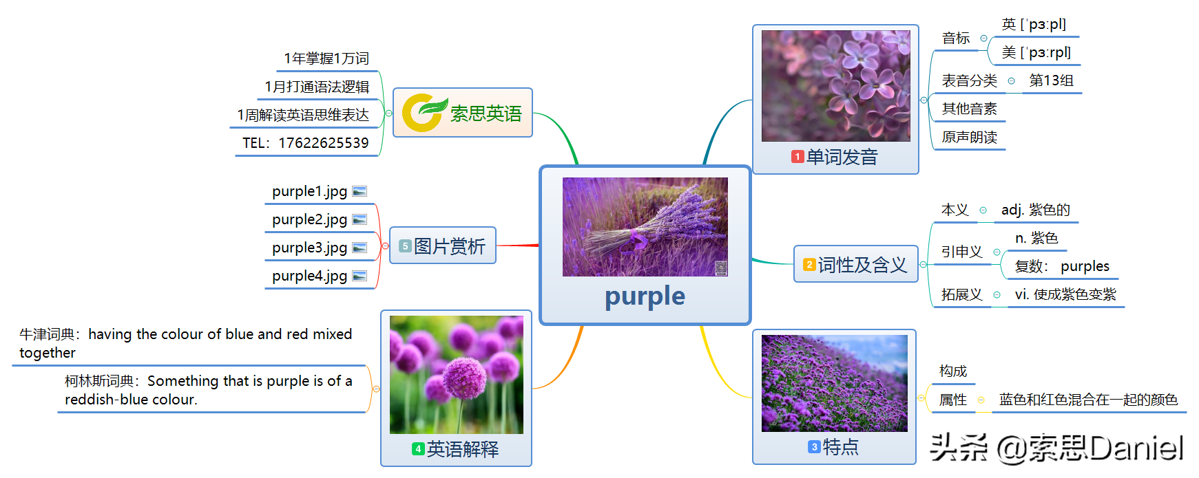 索思英语解码单词（第381个）——purple紫色