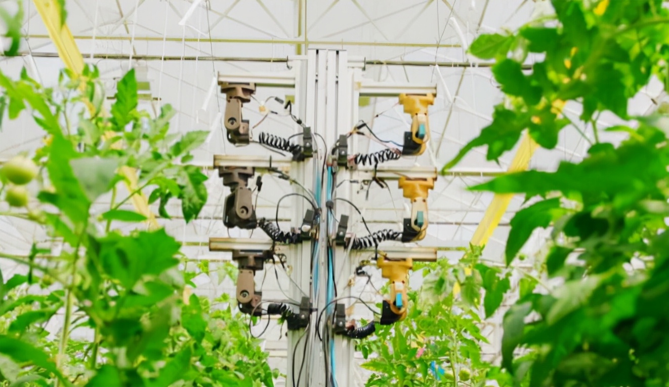 「國際視野」人工智能與數據科學助力農業園藝業全產業鏈發展