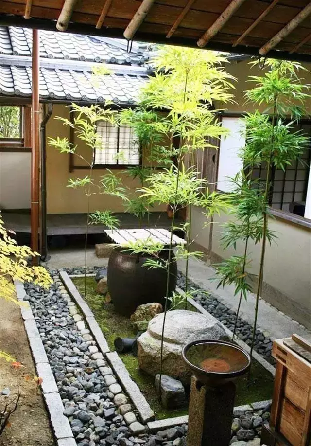余生，想要一个院子，看花开花落