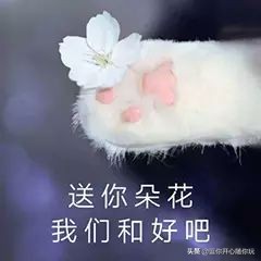 适合冷战求和好的搞笑段子，男同胞们有救了