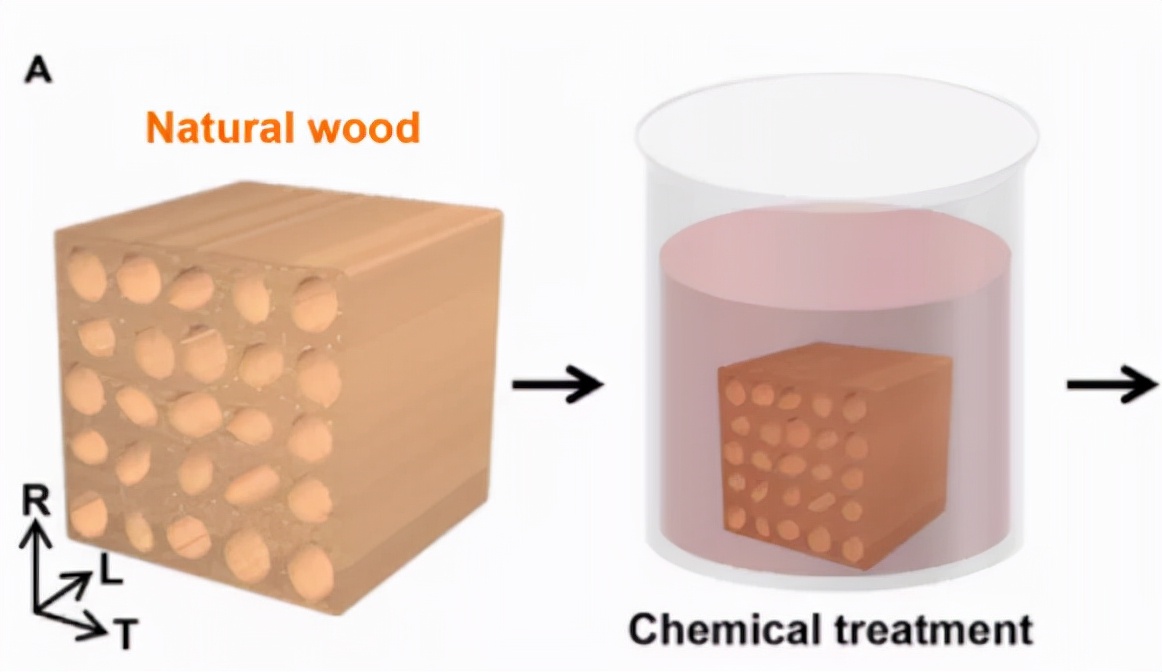 中国科学家将天然木材硬度提高23倍，化学处理4小时即可实现