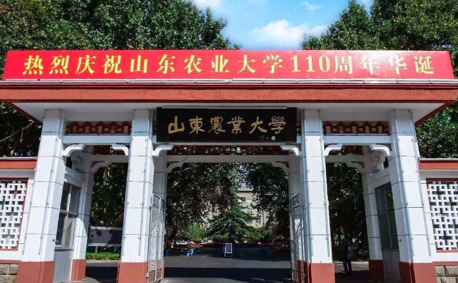 山东大学迎来新校区，总投资125亿元，当地考生多留意