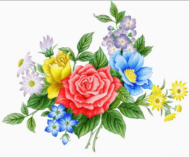 花卉牡丹绘画精品大荟萃 (第一辑)