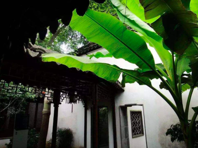 杨万里的这首诗，只有短短的4句，却写出了我们向往的生活