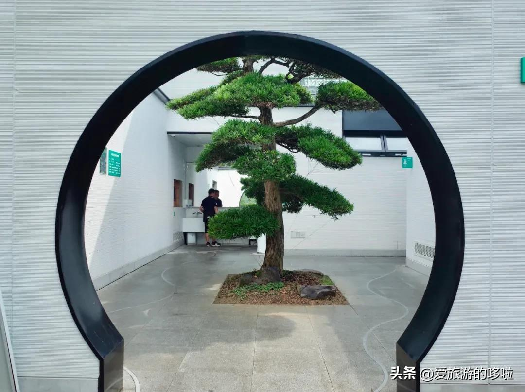 6块钱,包船游西湖