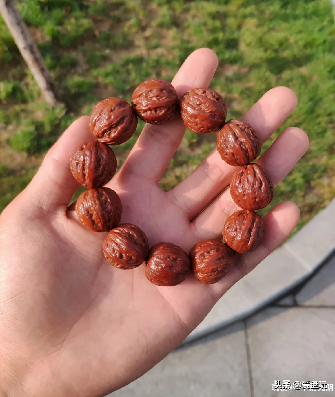 当年花20块钱买的串儿，盘了近9年，身价至少涨了10倍