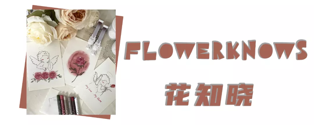 抄袭成瘾也配叫国货之光？这6个宝藏品牌才是真的绝美又好用