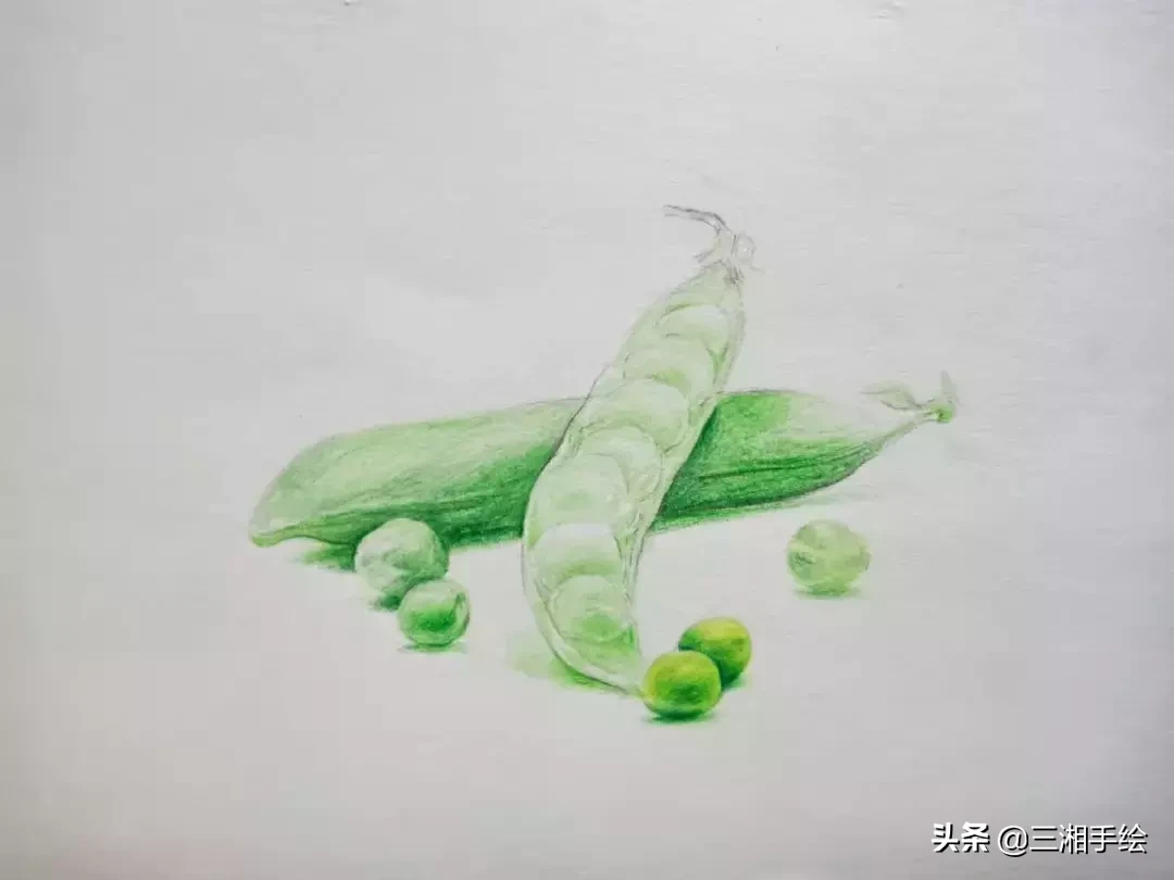 彩铅教程,豌豆荚画的淋漓尽致,零基础容易上手