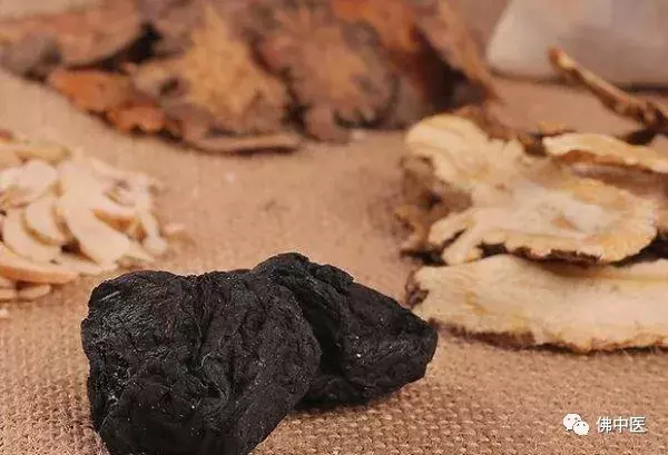 拿什么拯救你,我的发际线?中医专家有话说