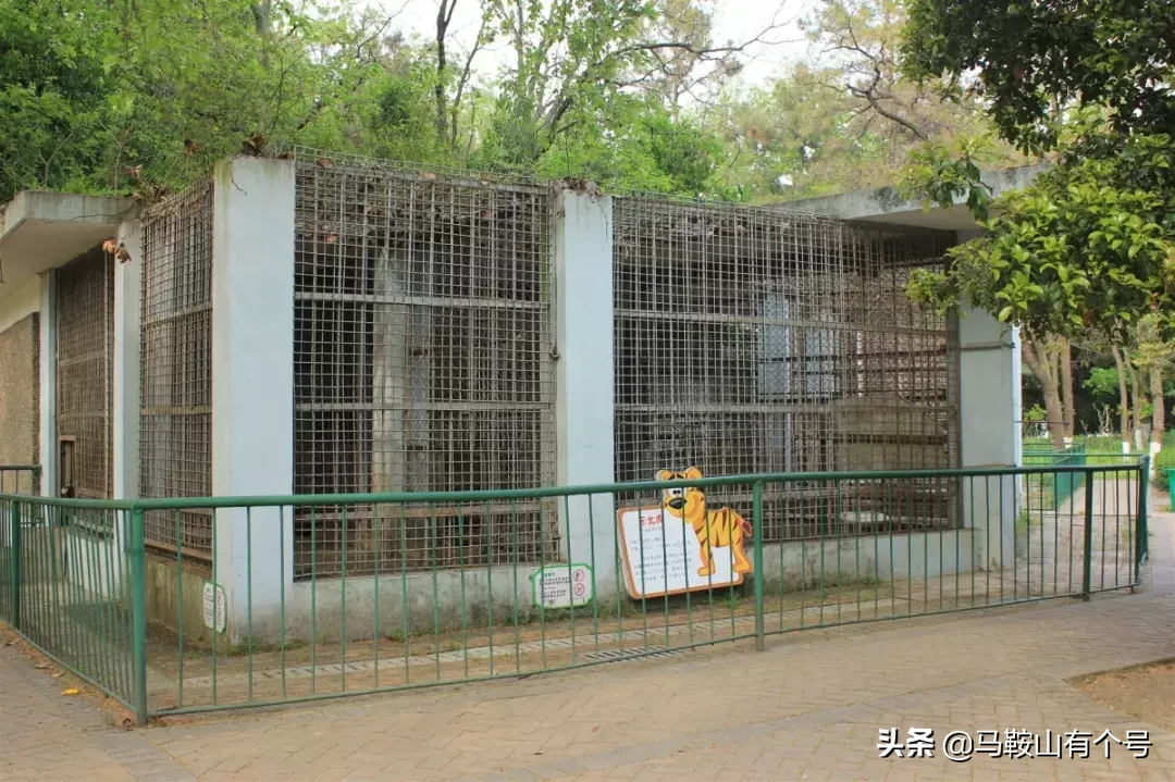 马鞍山人，别忘了动物园！这里曾是我们的全部！