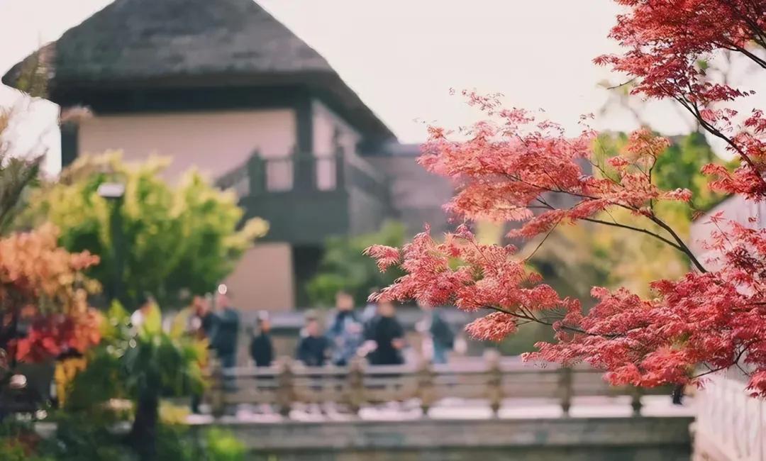 一个人也要去的十个城市，余生一个个走遍吧