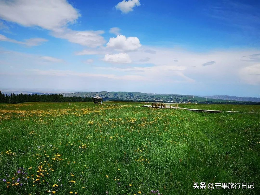 南山牧場在哪裡(新疆烏魯木齊南山牧場,門票45元,風景如畫遊客少)