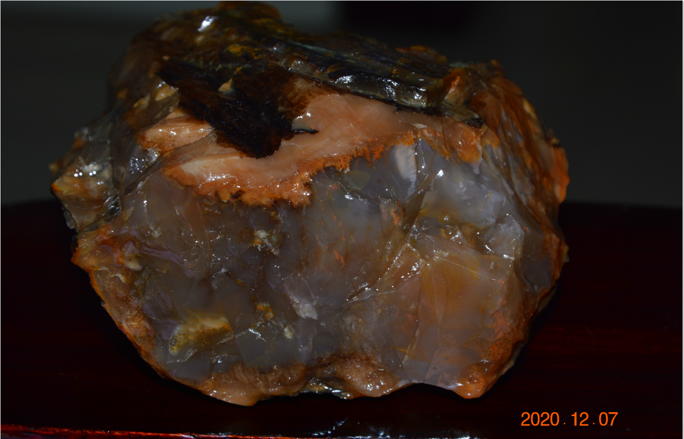 树化玉原石图片(图文赏析树化玉的真正样子)