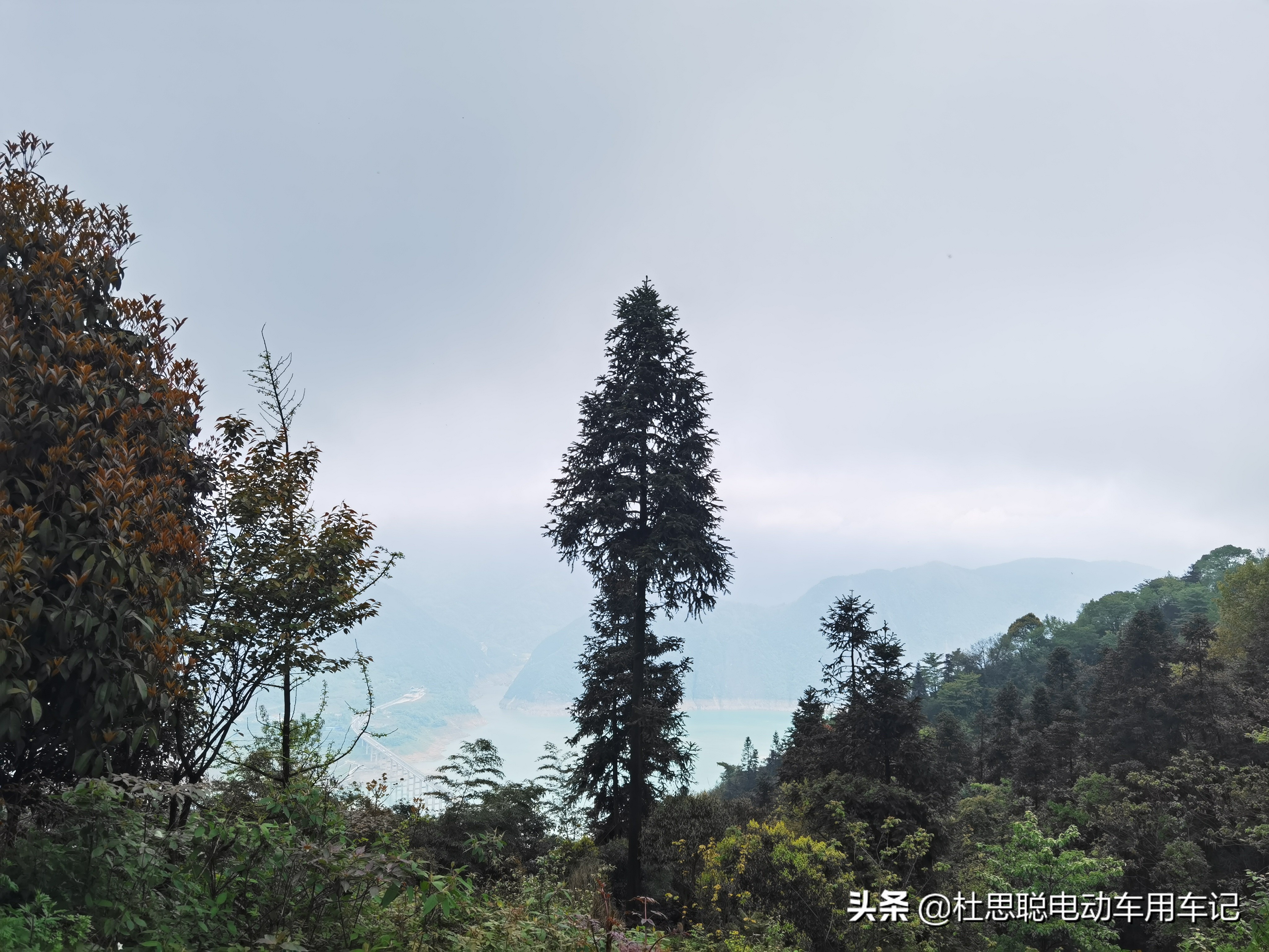 汉EV自驾青城后山，道士给的野生竹笋，拿来做了美味的腊肉炒竹笋