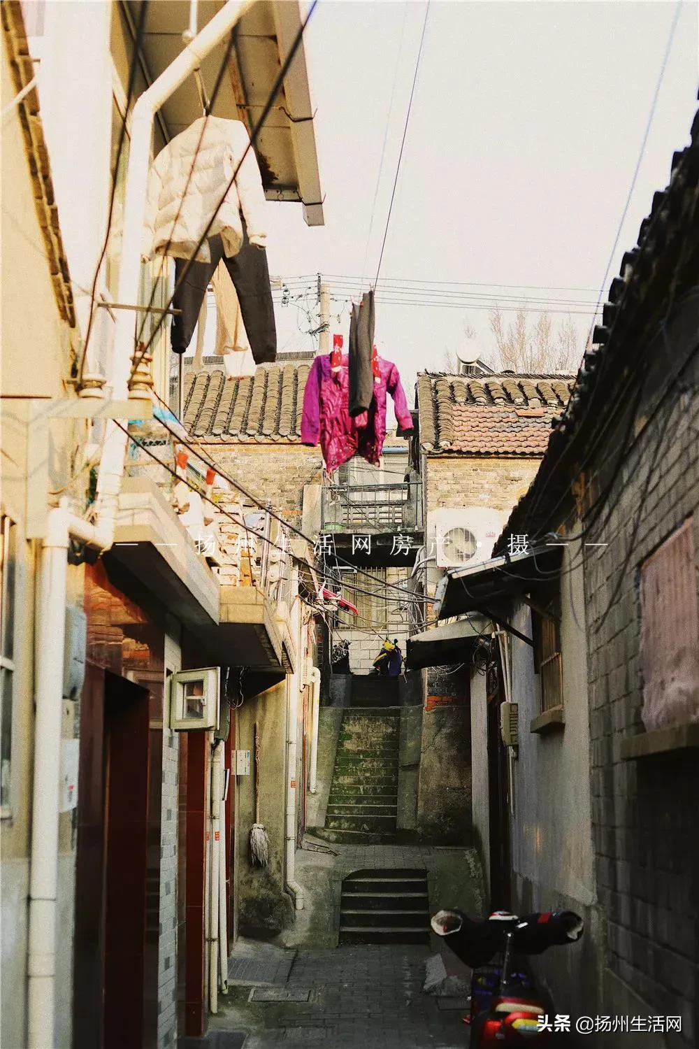 重磅！扬州28个公办小学学区统计出炉，涉及163个新盘、次新盘！