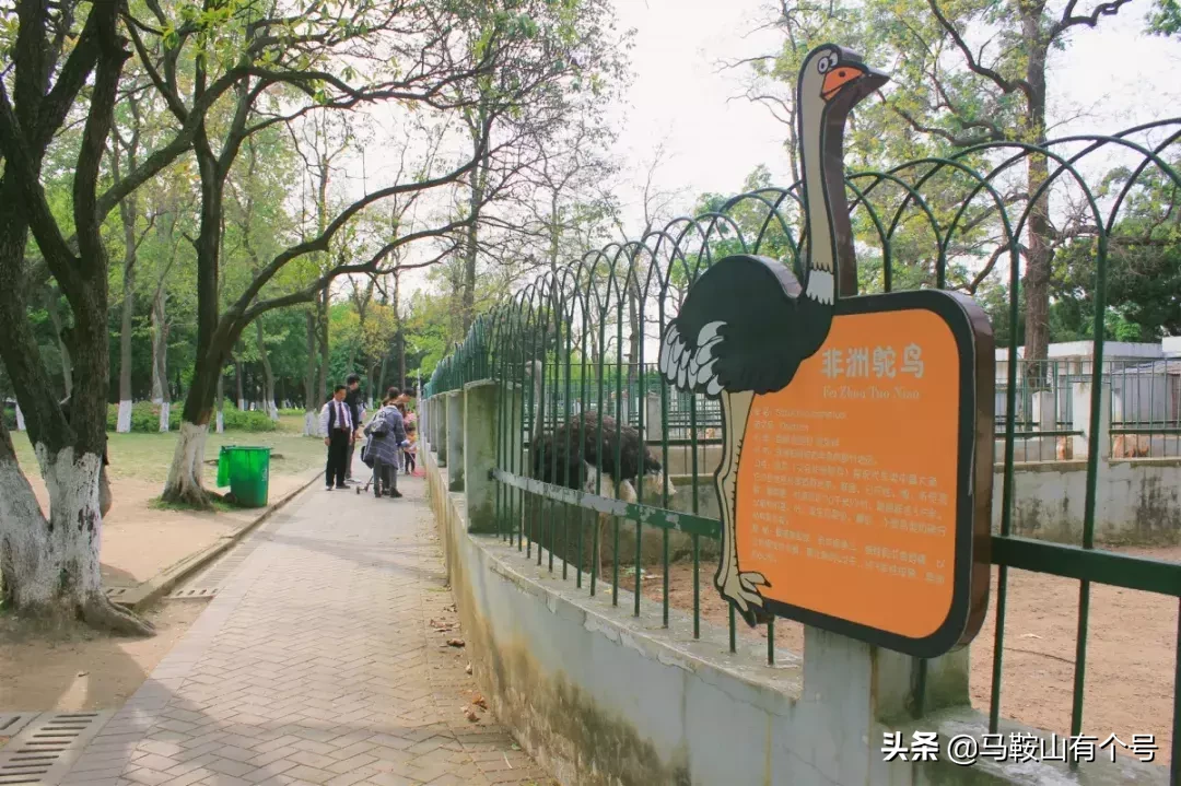 马鞍山人，别忘了动物园！这里曾是我们的全部！