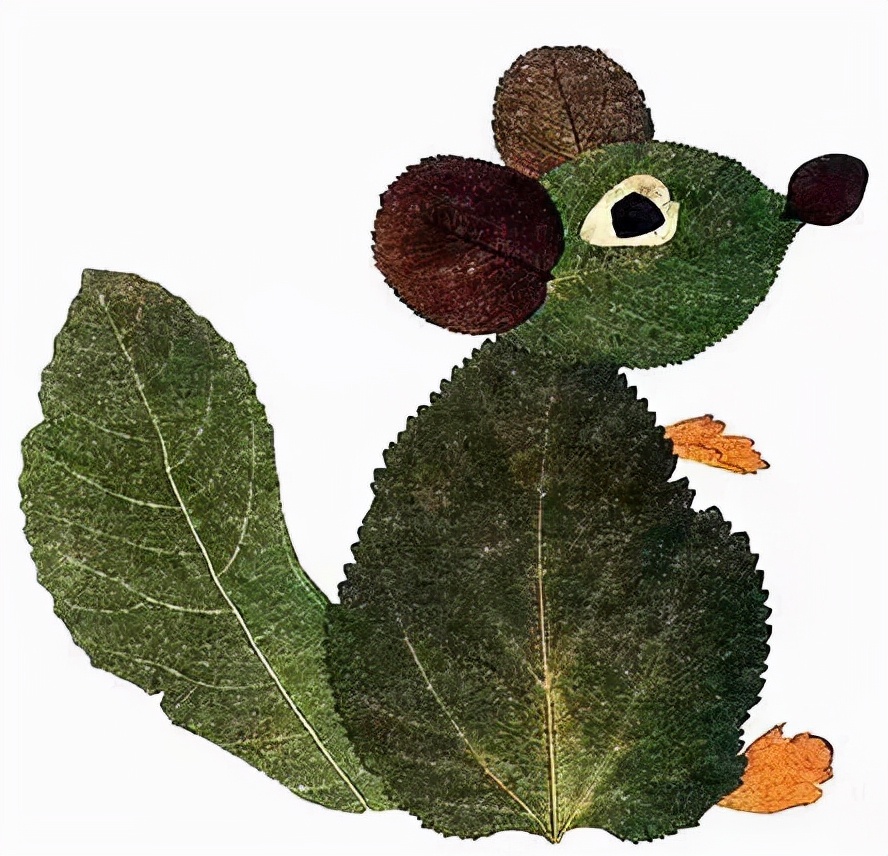 枯叶图片(落叶是秋天的礼物) - 赤虎壹号