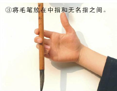 「转」标准的毛笔握笔方法和握笔姿势（附毛笔的握笔方法图解）