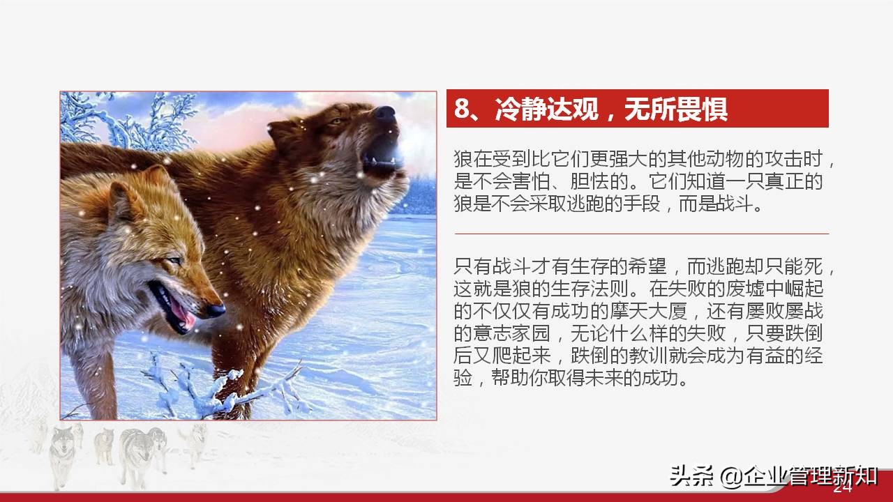 33页完整版，狼性文化与企业精神培训PPT，可直接用于员工培训