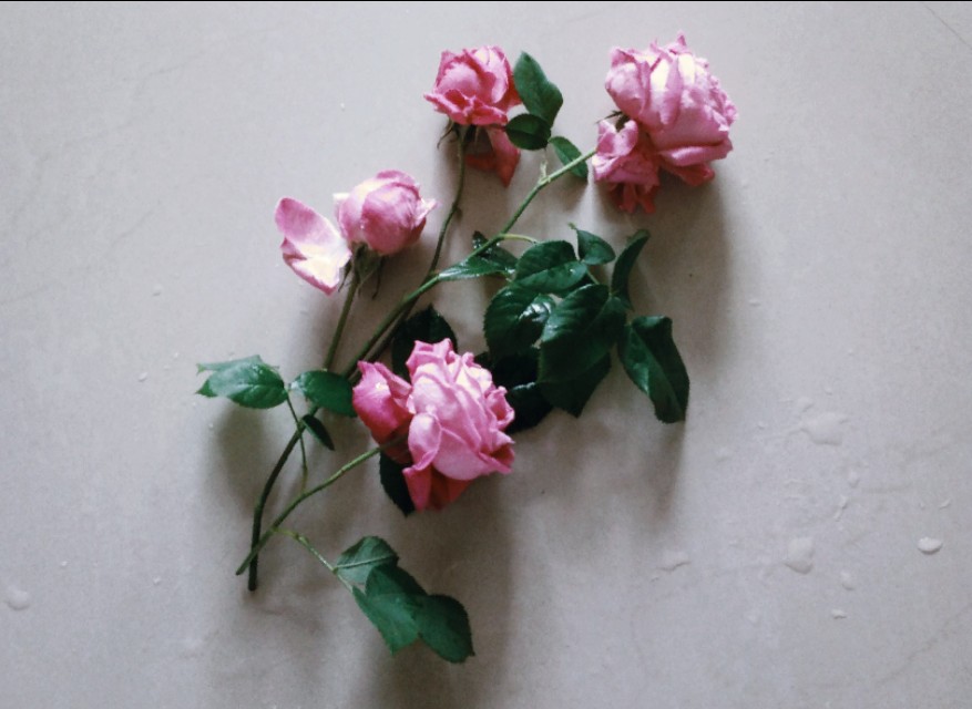 七篇中考高考满分作文：关于感恩，关于快乐，关于爱