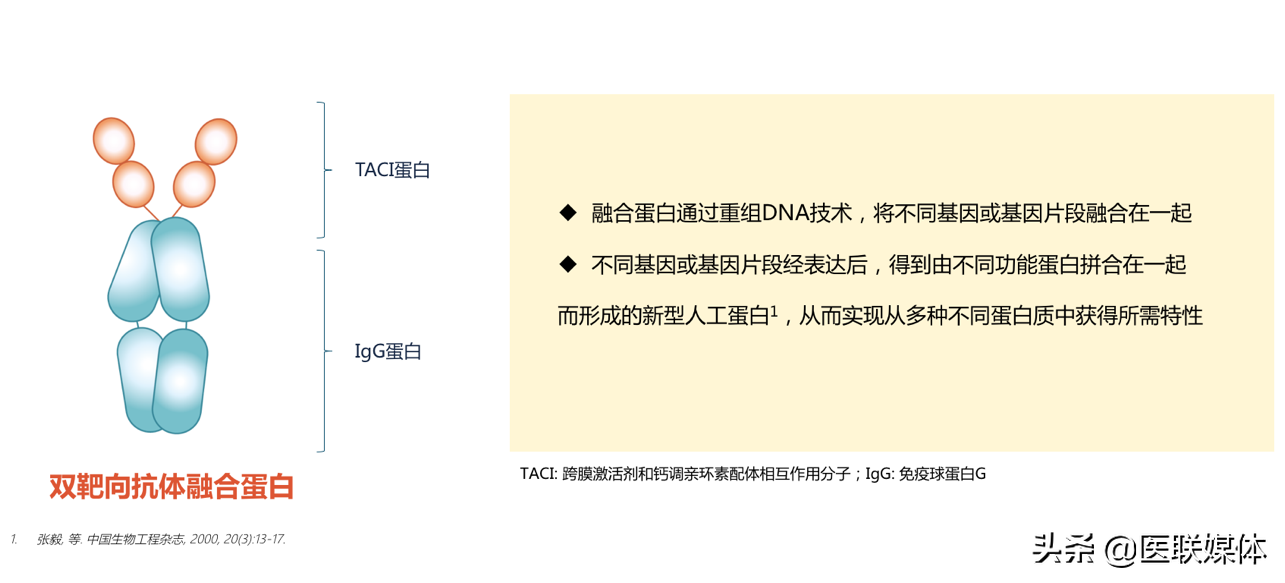 患红斑狼疮，是免疫系统这个细胞在“作妖”，终于有办法对付了