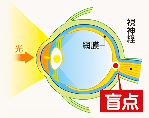 人的缺点有哪些（人类进化到现在身体还存在7个缺陷）