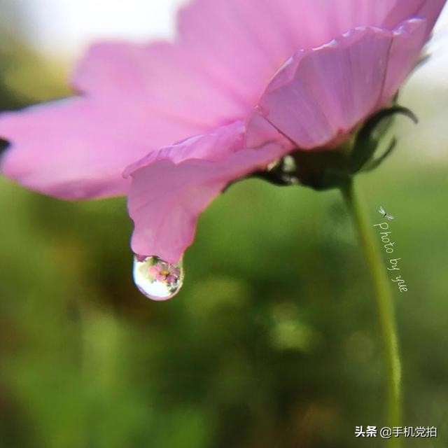手机拍生活｜教你5招拍出有趣“镜像、折射”感觉