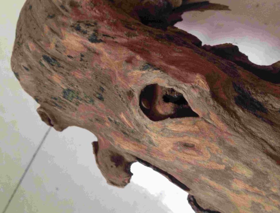 雷击木价格雷击木是什么东西