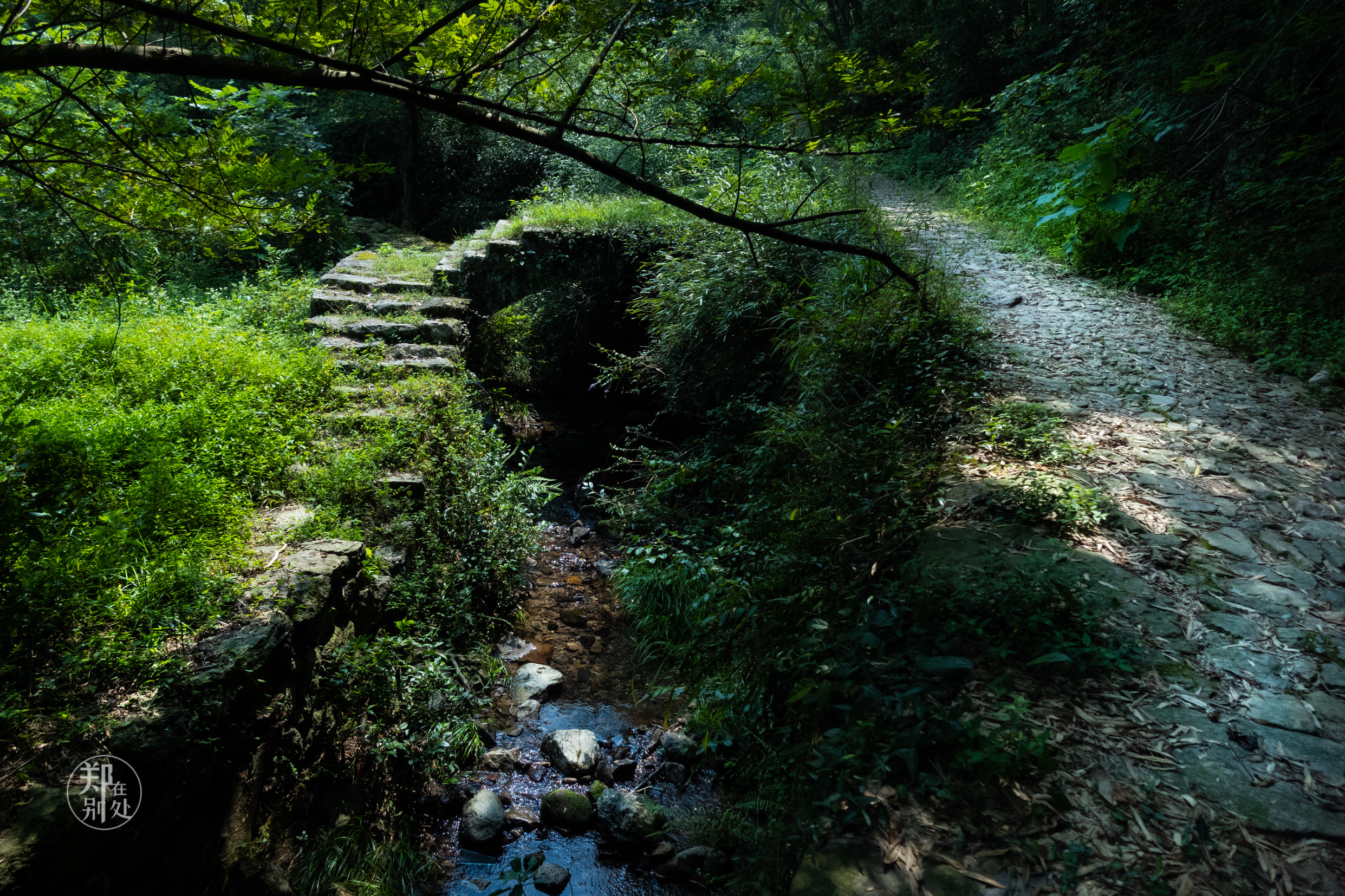 浙江古道03:上青古道,從杭州出發,一天來回三種自助攻略