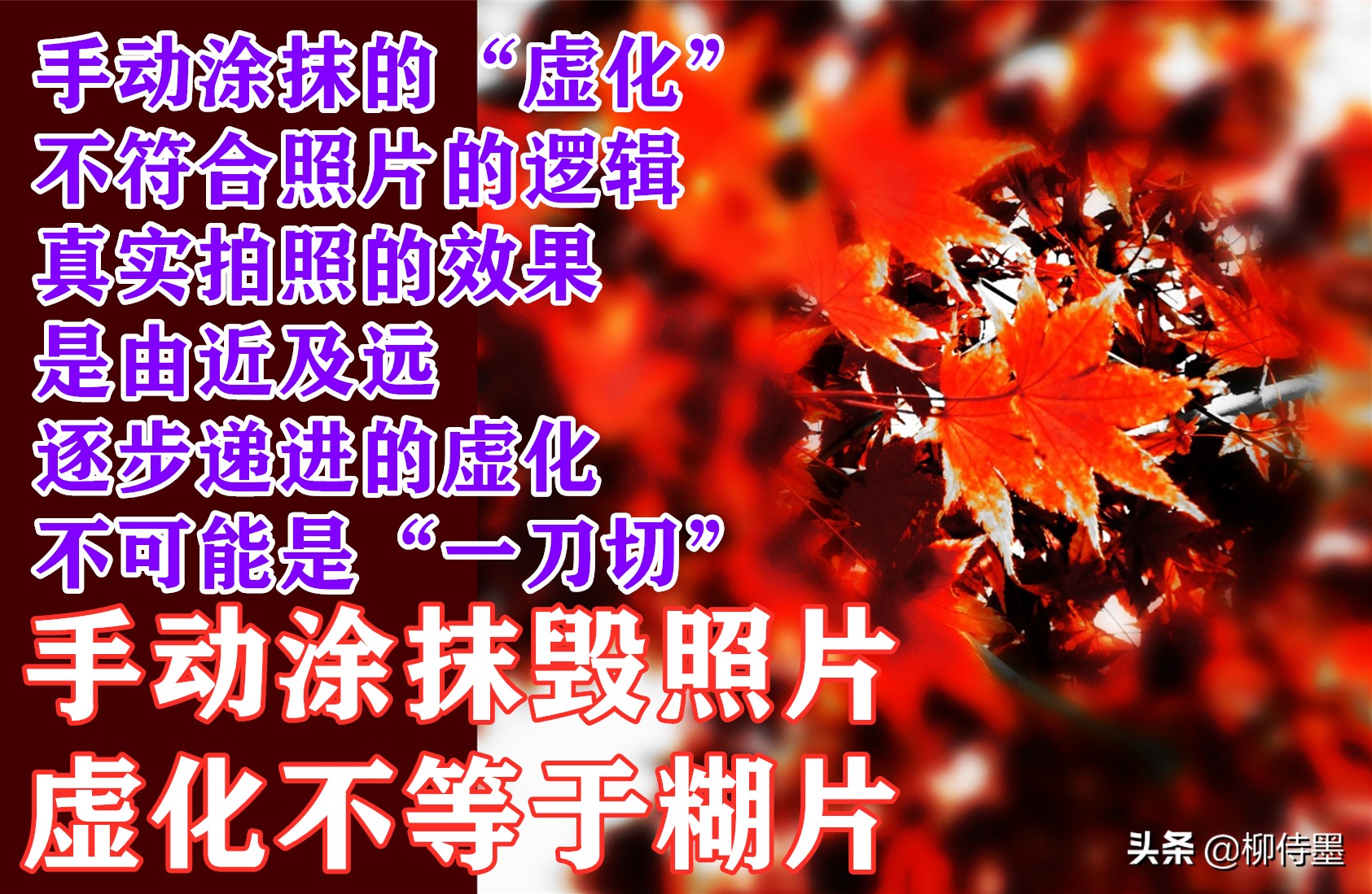 叶子形态各有千秋，跟着摄影师学拍照，拍美“一叶知秋”