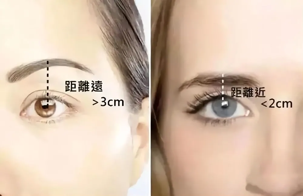 想要面容灵动,也离不开美观的眉毛形态