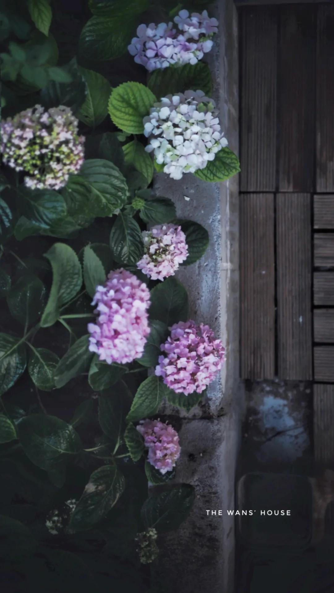 【親子宅設計精選】設計師夫婦曬133㎡親子宅：暗藏17處超強收納+絕美空中花園