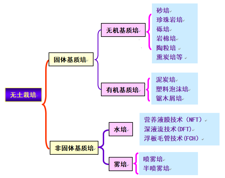 无土栽培，你真的了解吗？