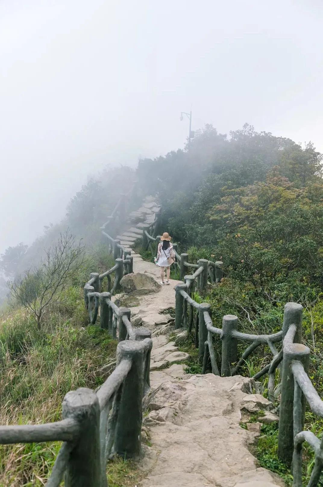 深圳值得征服的10座山，你去过几座？