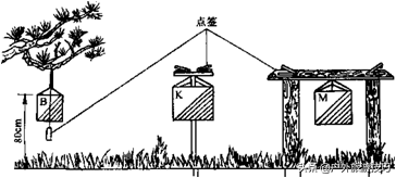 足球定向鞋子是什么意思(户外定向越野哪些器材才能玩？—定向运动及野外生存入门技巧1)