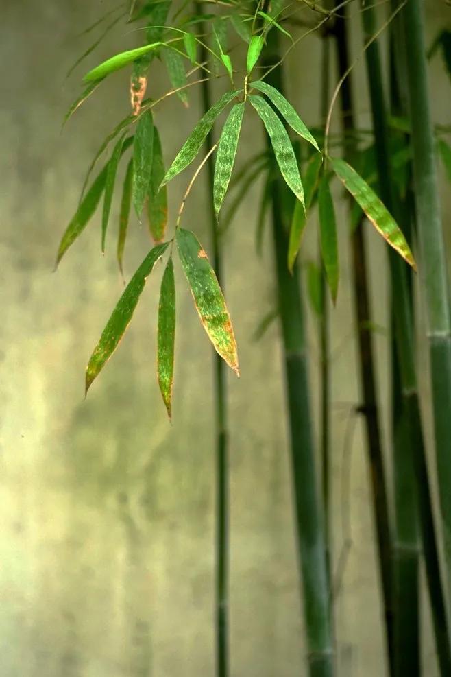 又是烦躁的下雨天