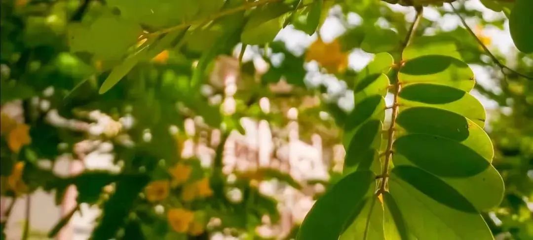 广东财经大学2021年本科招生咨询方式这里全都有