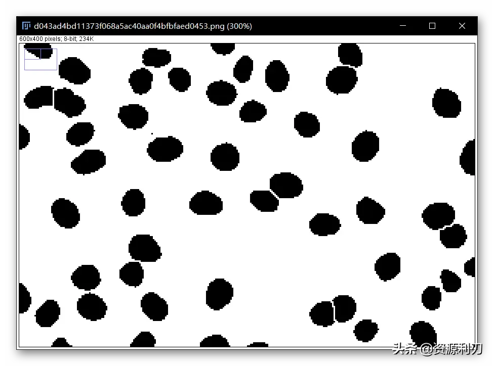 imagej细胞计数步骤（怎么用ImageJ进行自动细胞计数）