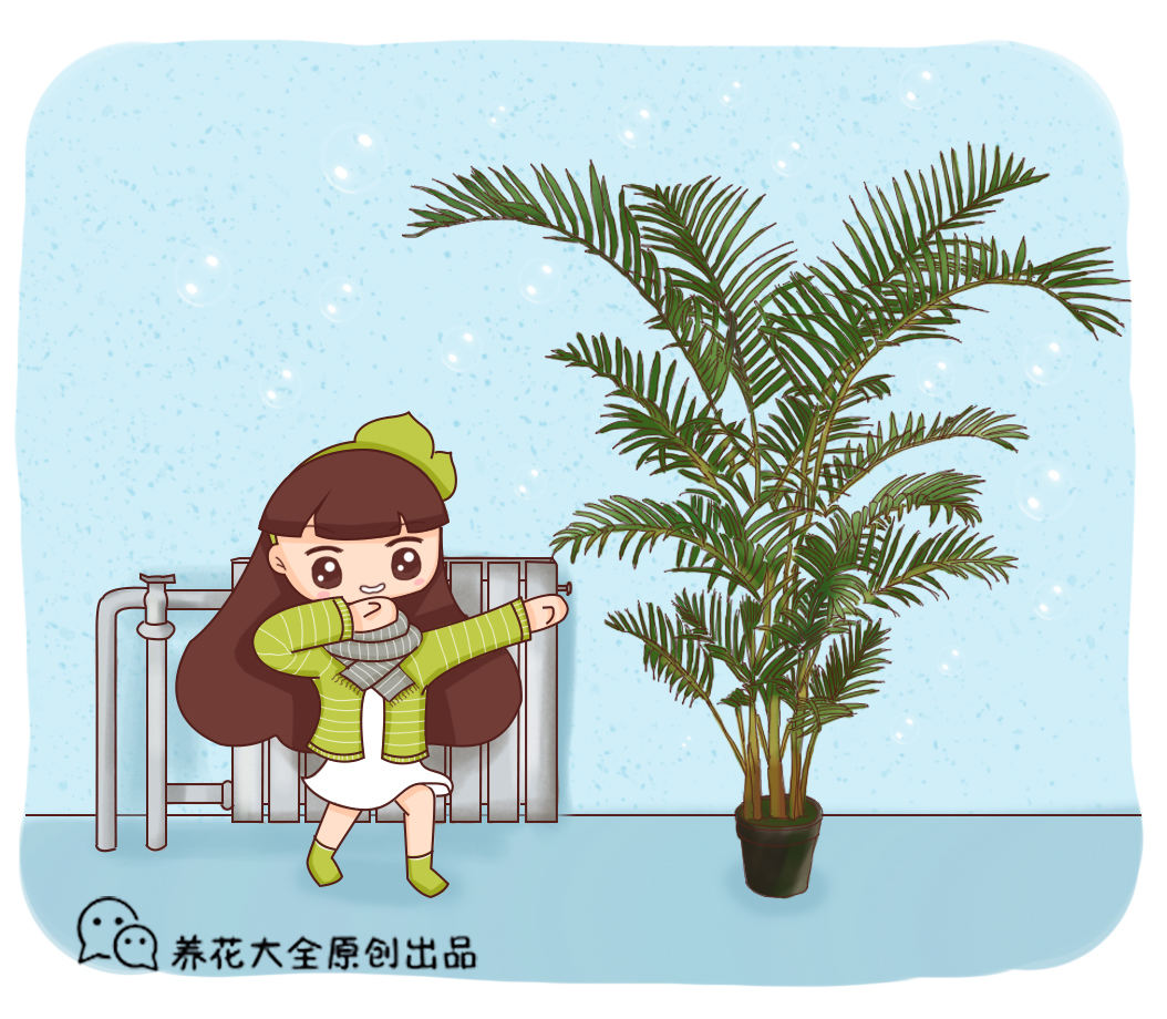 凤尾竹的养殖方法（注意这几点凤尾竹才叶片油绿有精神）