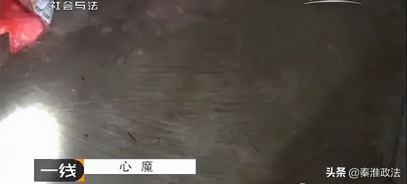 心魔：河北唐山婆婆杀媳案侦破纪实