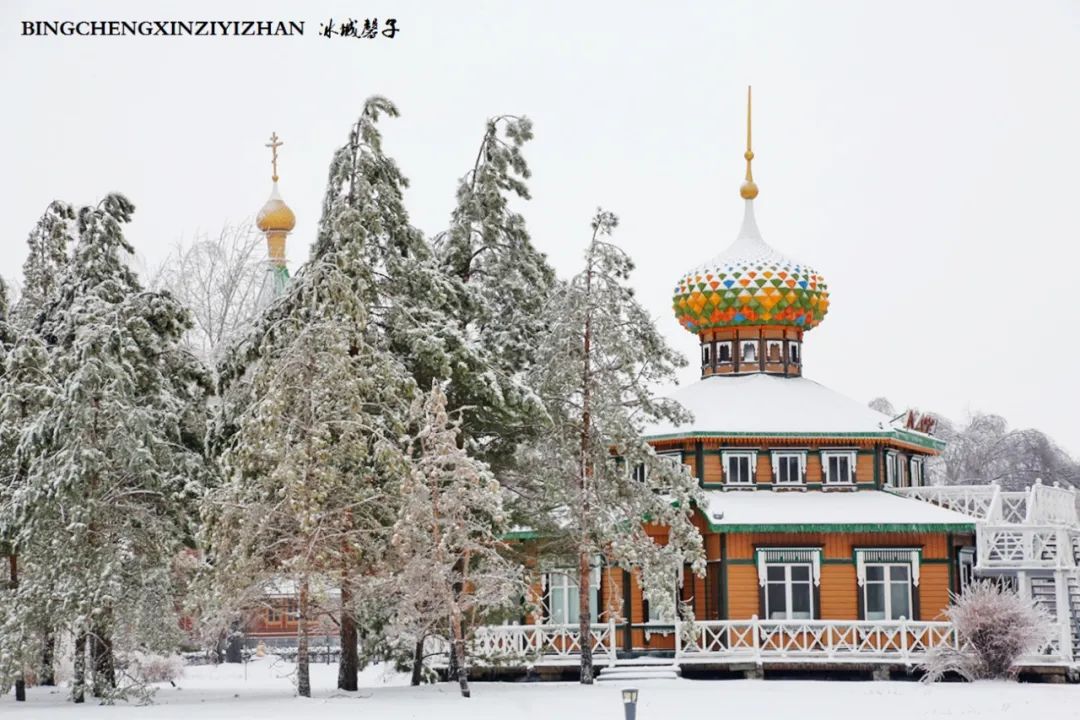 冰城暴雪冻雨之时，却让哈尔滨成为冬的水墨画卷