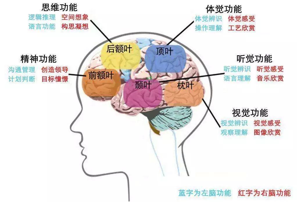 想要变得更聪明？7个小习惯，激活你的大脑潜能，让你能持续聪明