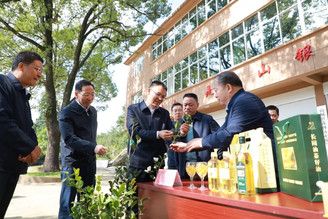 王东伟到商城县调研
