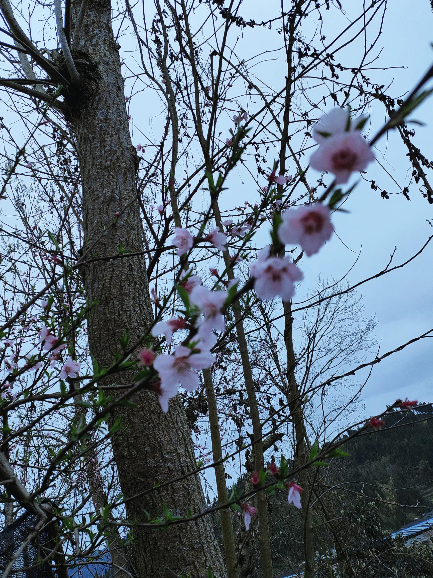 你有过一场和春天的约会吗？三月过半了，一起去抓住春天的尾巴吧