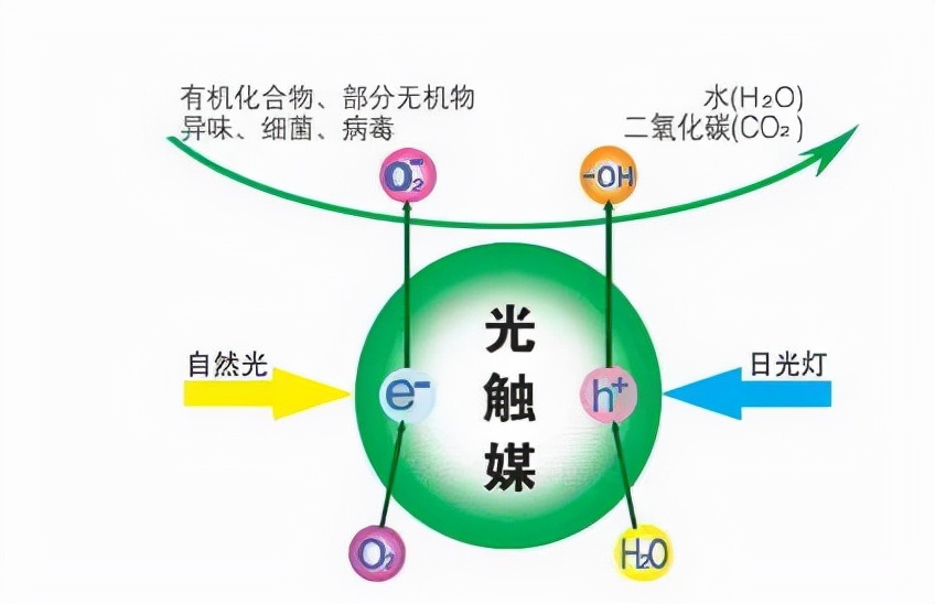 房子刚装修完，高效去甲醛的方法给你